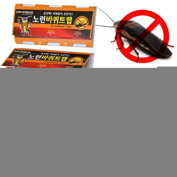 노런 초강력 바퀴제거 끈끈이트랩 5매