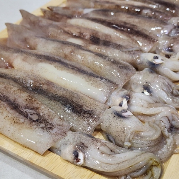 국내산 통찜용 선동오징어 1kg