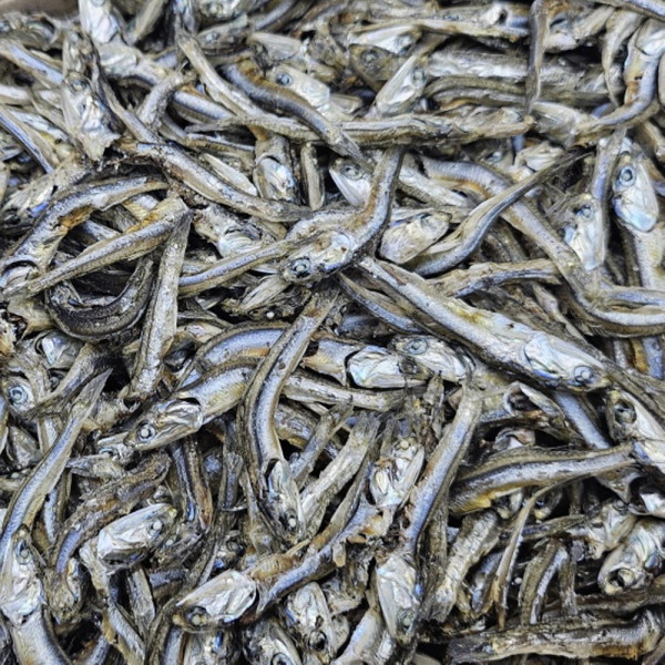 국내산 마른멸치 고바멸치 1.5kg