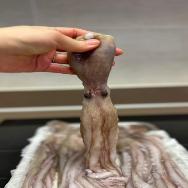 낙지 1kg