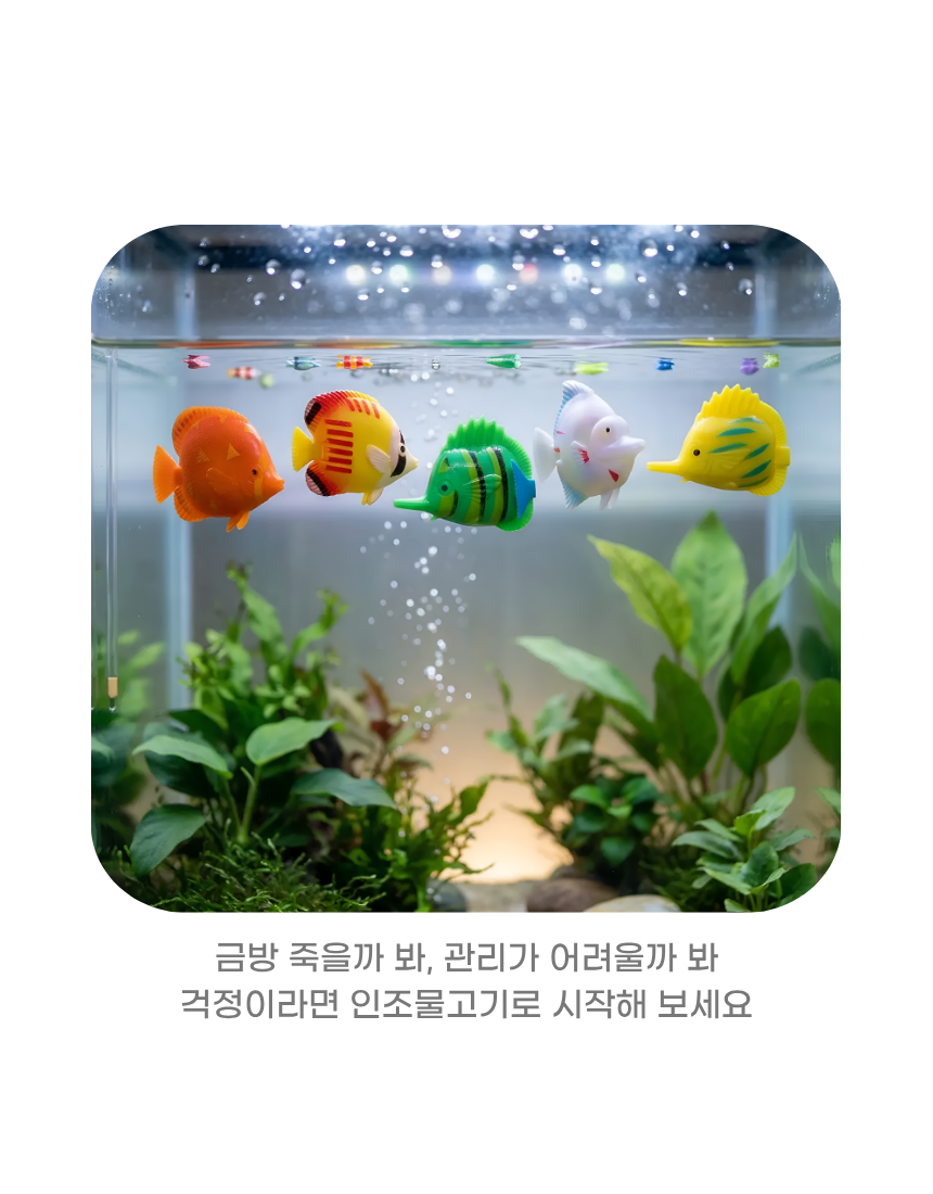 상세3