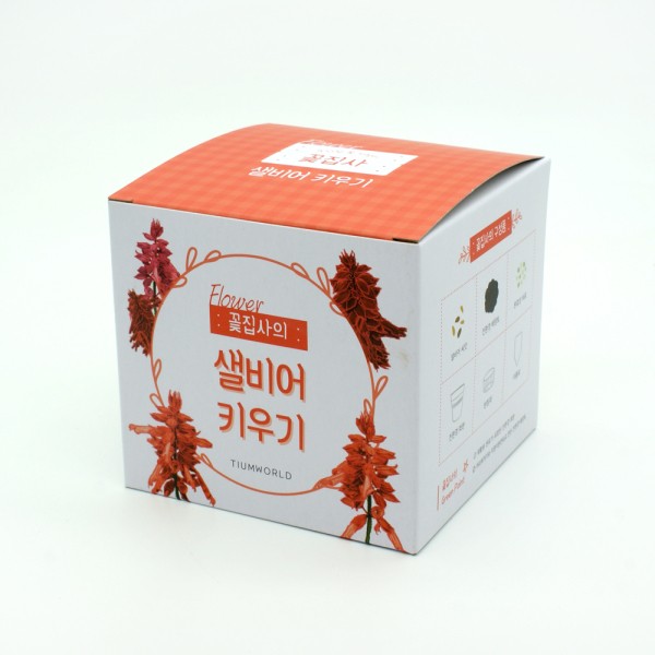 꽃집사 샐비어