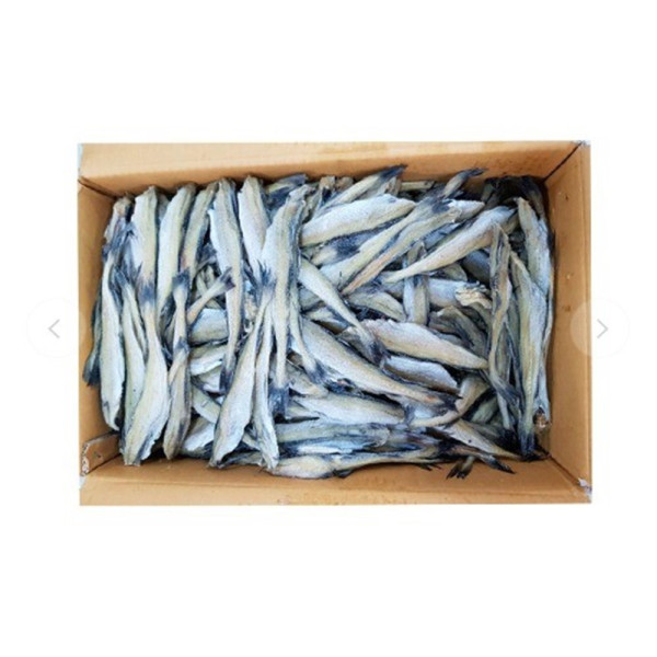 두절 노가리 대용량 10kg 16-18 사이즈 1박스