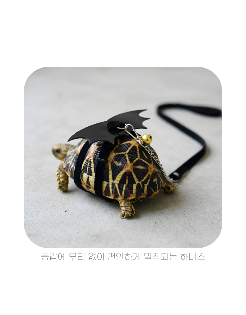 상세1