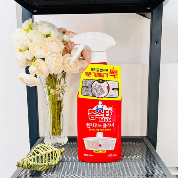 홈스타 렌지후드 클리너 480ml