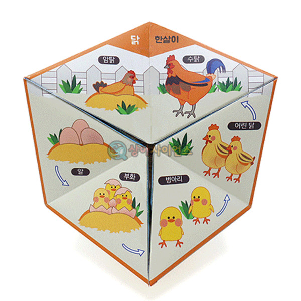 (SA) 칼레이도사이클 (동물의 한살이)(5인 세트)