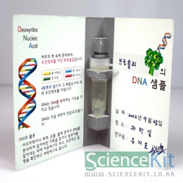 (SC) DNA추출1 식물세포(4인용)