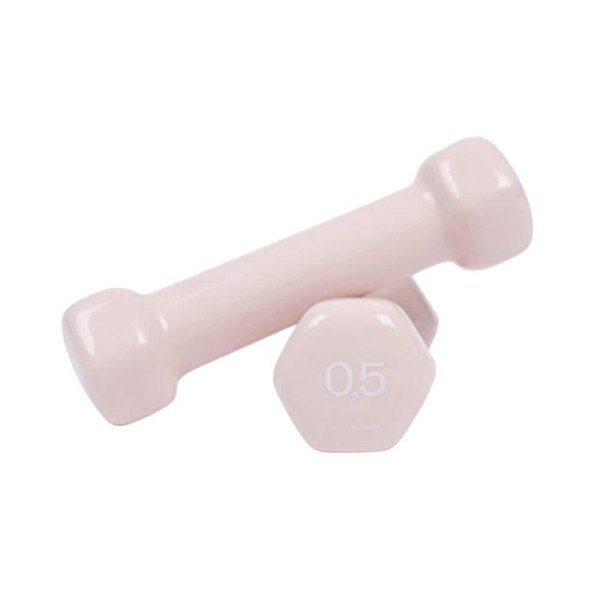 뷰티 육각 덤벨 아령 0.5kg 베이비핑크 2개