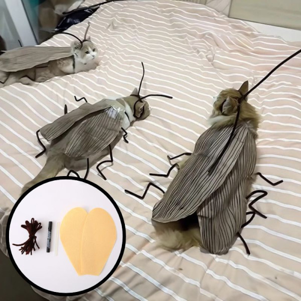 DIY 고양이 바퀴벌레 코스튬 코스프레 킹받는 선물 쓸모없는 쓸데없는 웃긴 우정