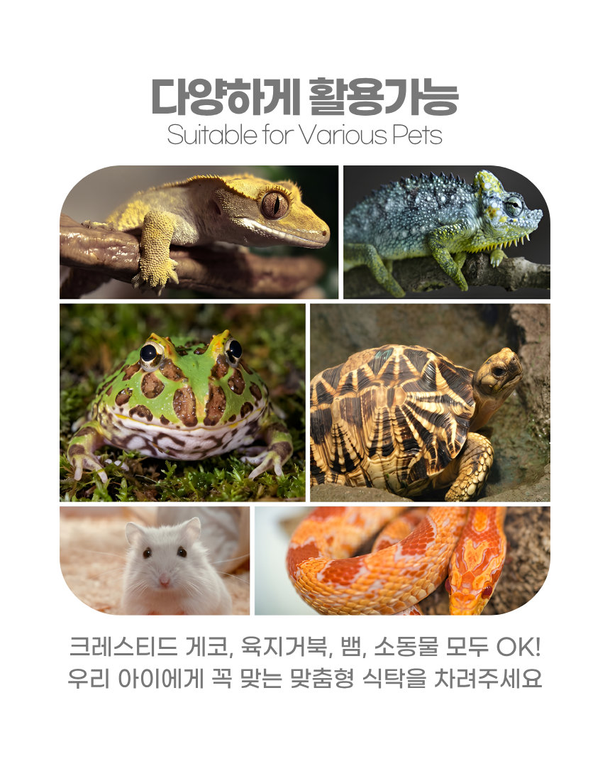 상세7