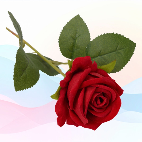 장미 조화 생화같은 플라워 레드 와인 핑크 화이트
