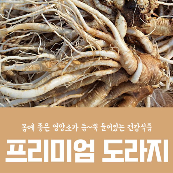 고씨네 나물도라지1kg 도라지 건도라지 백도라지 나물