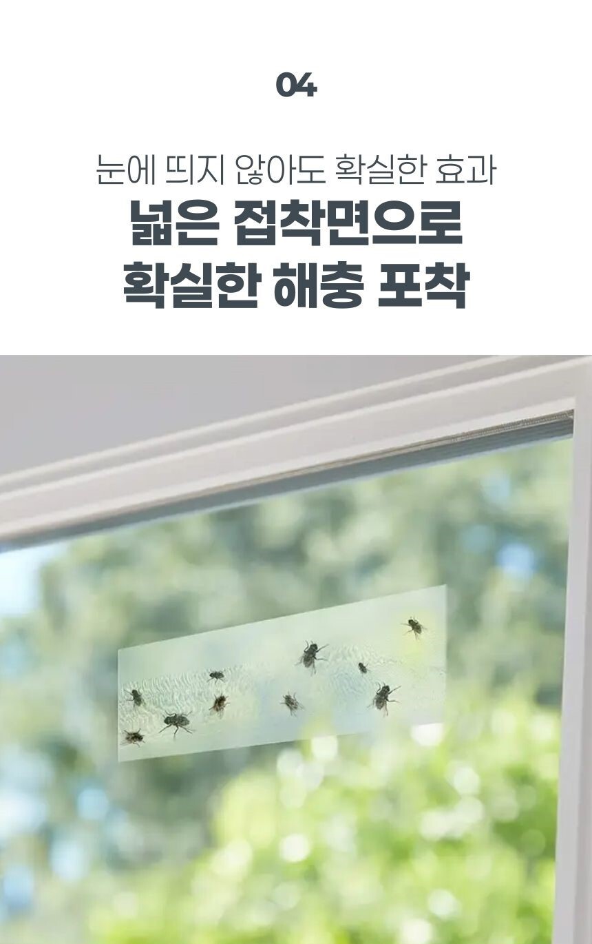 해충이 투명 스티커에 포착된 상태