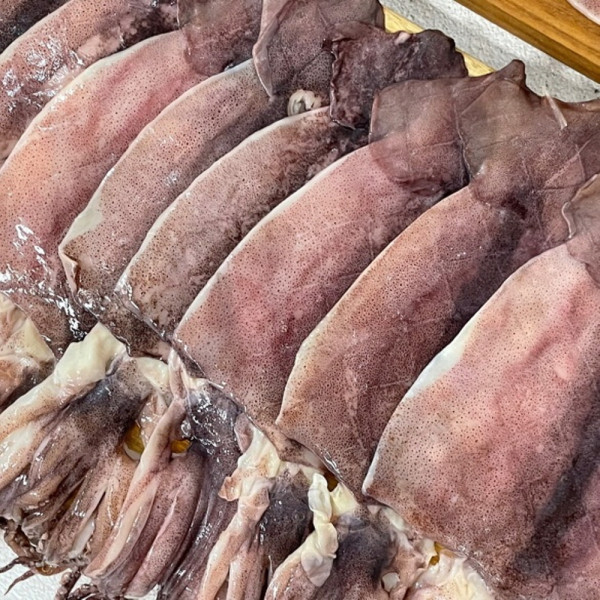 국내산 반건조 오징어 15미