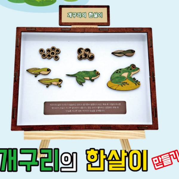 개구리의 한살이 만들기학습용 브로마이드 제공