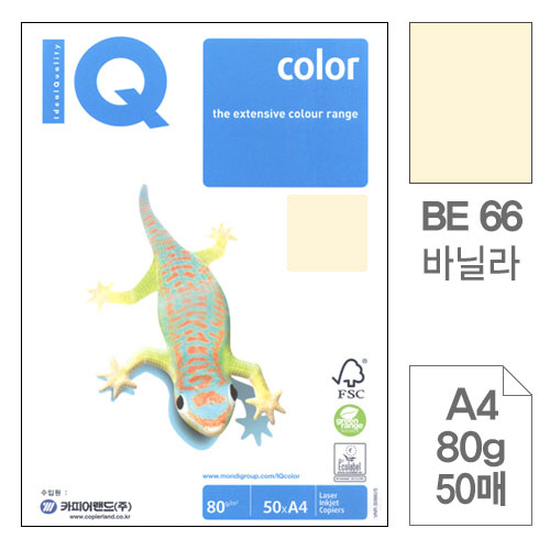 몬디)칼라색지A4(BE66/바닐라색/80g/50매)