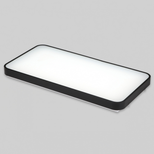 비츠온 거실등 LED 마빈 블랙 2등 50W 주광