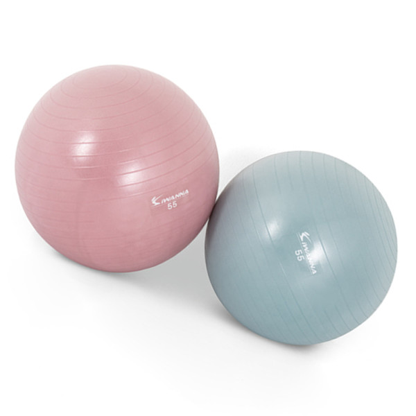 아이워너 안티버스트 짐볼 55cm 2color