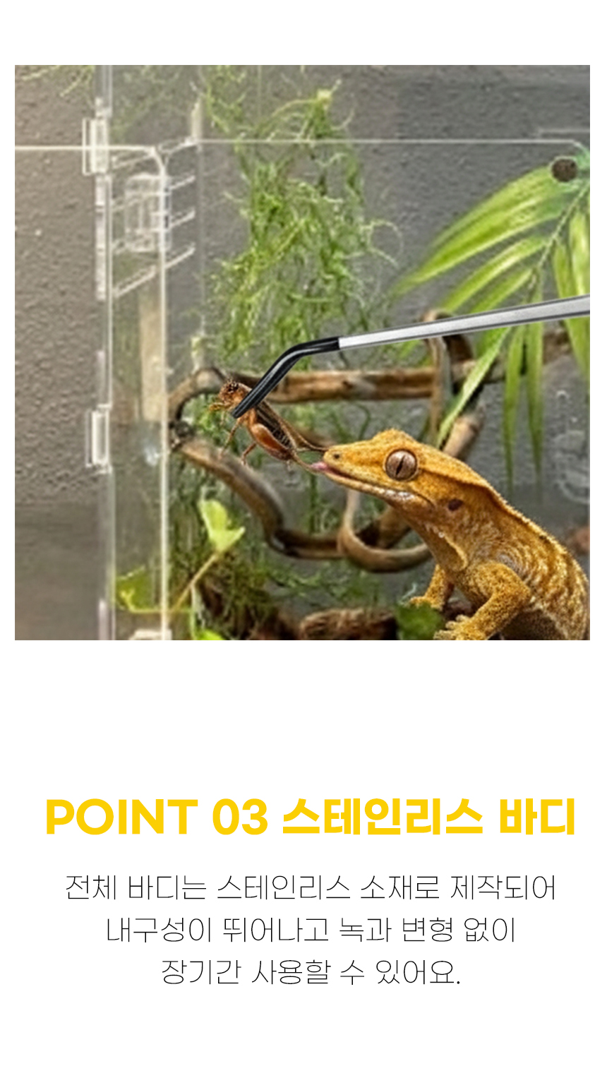 ss4.jpg