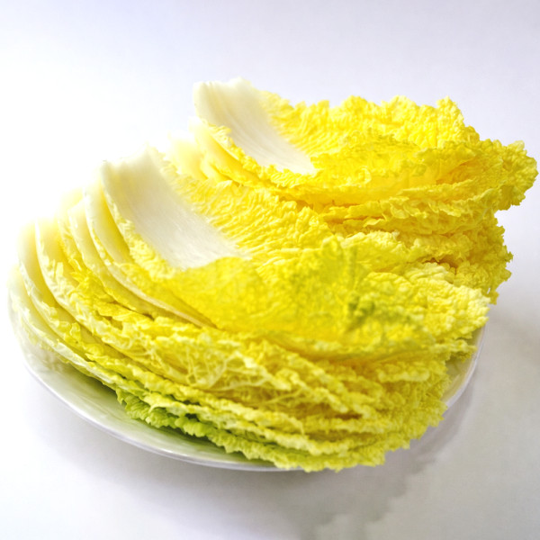 자연 그대로의 신선함 전라도 노랑이 햇쌈배추 2팩 (1kg)