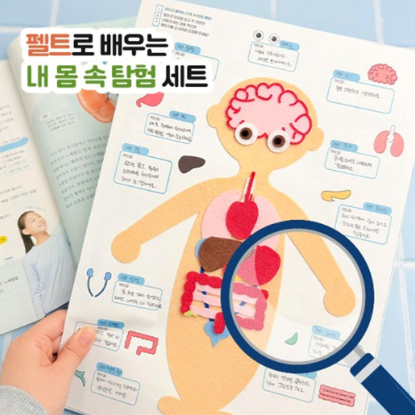 (TD) 펠트로 배우는 내 몸 속 탐험 세트 - 1인세트