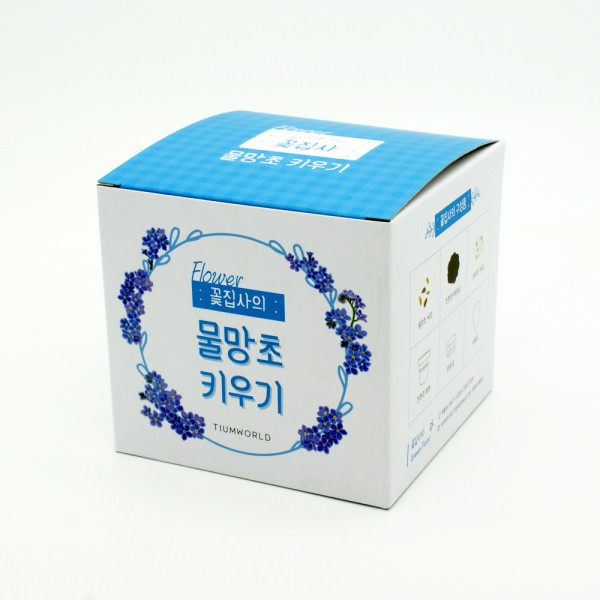 꽃집사 물망초