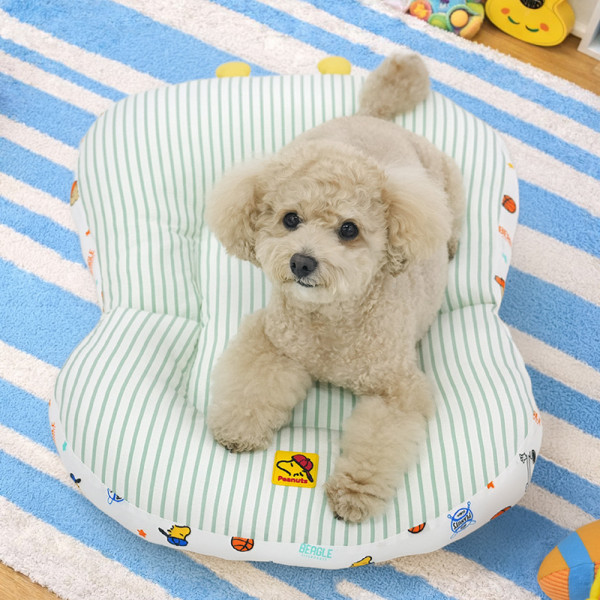 패리스독 피너츠바시티양면쿨베드