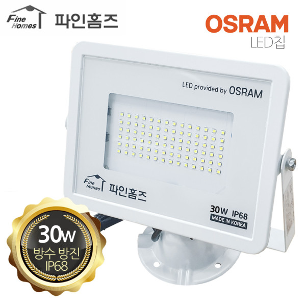파인홈즈 투광등 백 30W 주광 방수방진 실외 간판