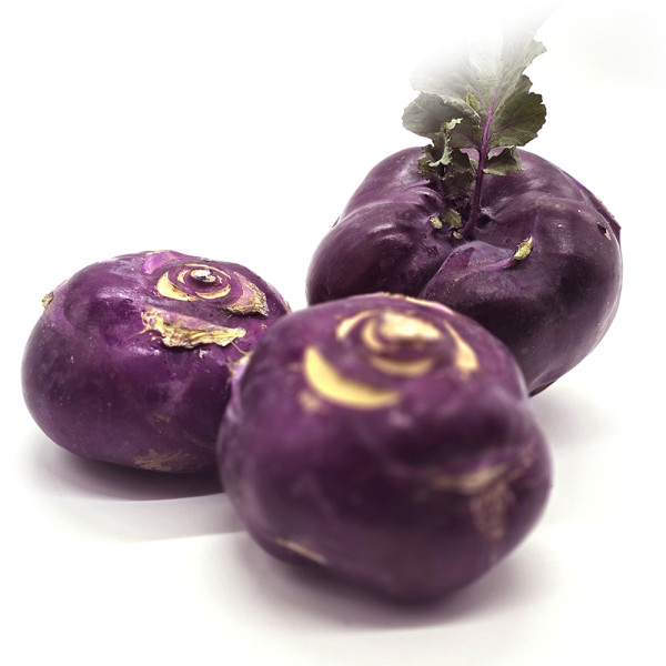 국내산 콜라비 3kg (제주산)