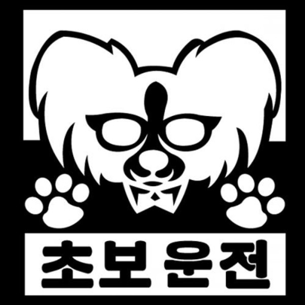 VIP 304 초보운전데코 스티커16번 디자인