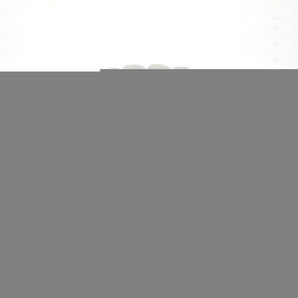 (SA) 투톤형광자외선야광팔찌(10인세트)