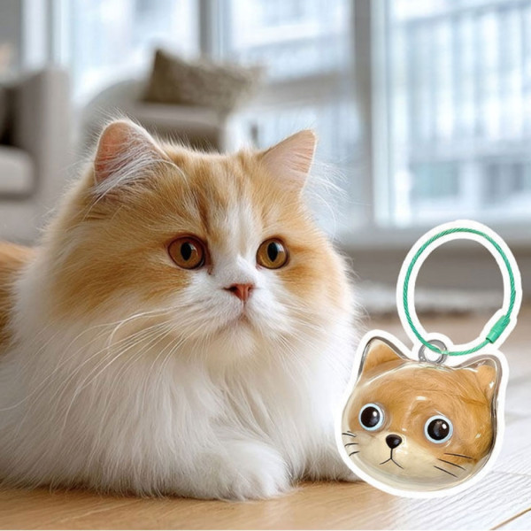 고양이 털 수염 보관 메모리얼 키링 투명 캡슐 추억 DIY 와이어링 열쇠고리