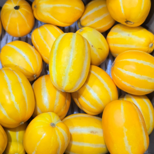 성주 참외 못난이 10kg