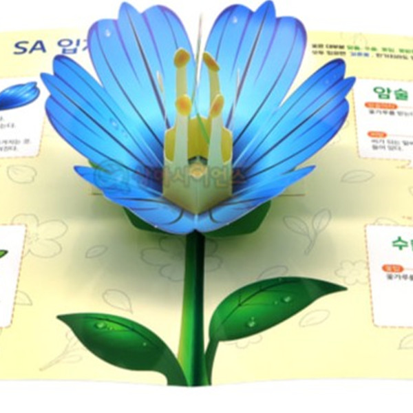 (SA) 입체 꽃 관찰하기 (꽃의 구조와 기능)(4인)
