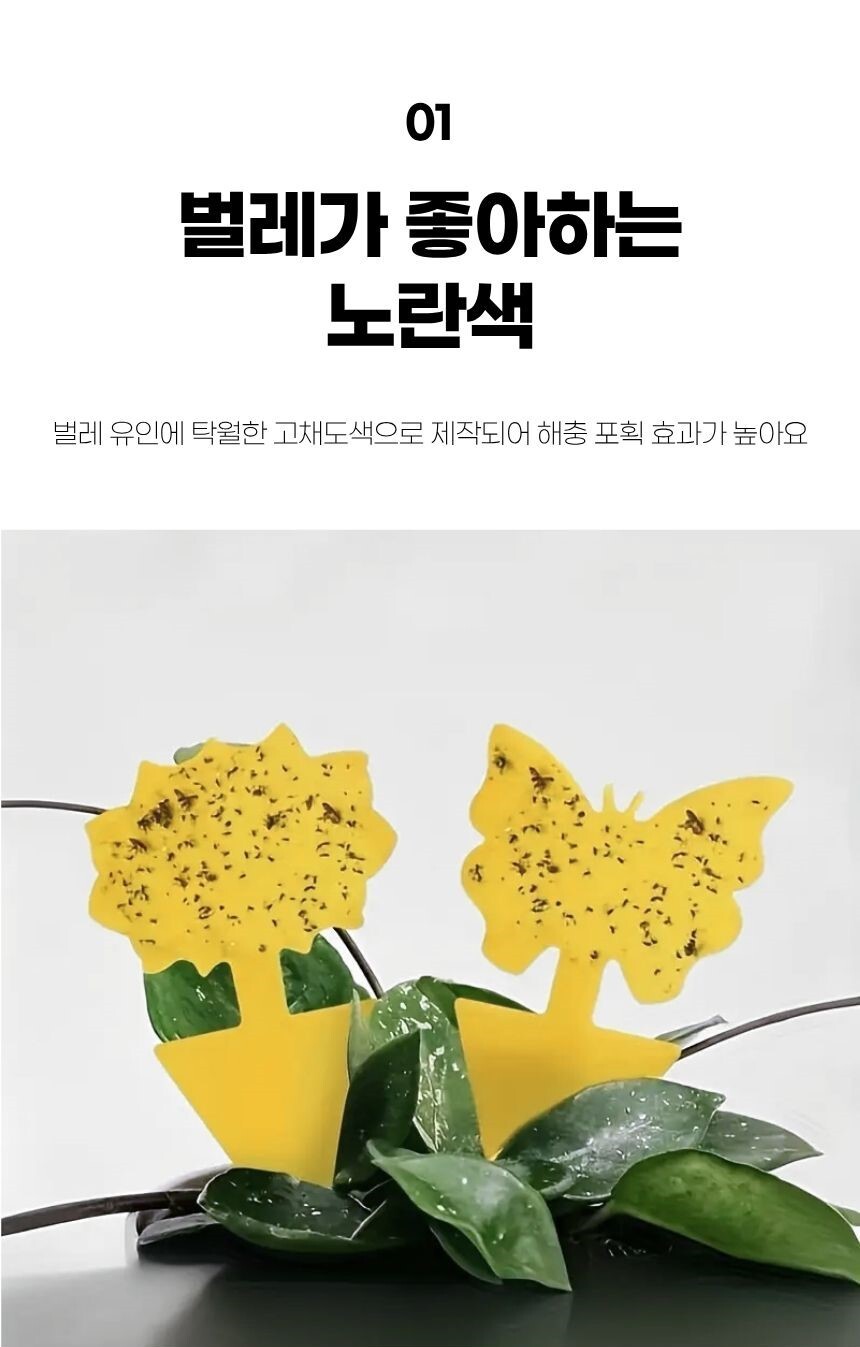 끈끈이 보호필름 설명 이미지