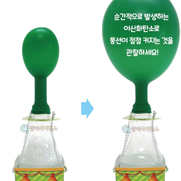 (SA) 부풀어 오르는 풍선 열기구 (4인)