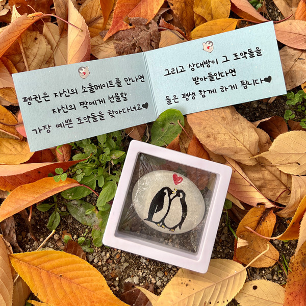 펭귄 조약돌 커플 편지 기념일 생일 선물 편지지 깜짝 남자친구 여자친구 100일