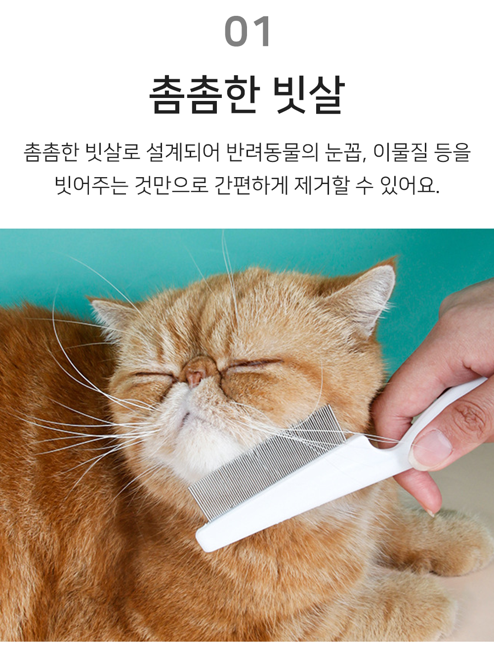 BrowserPreview_tmp_03.png