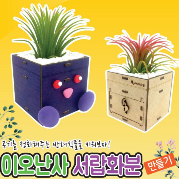 이오난사 서랍화분 만들기(탄소중립)