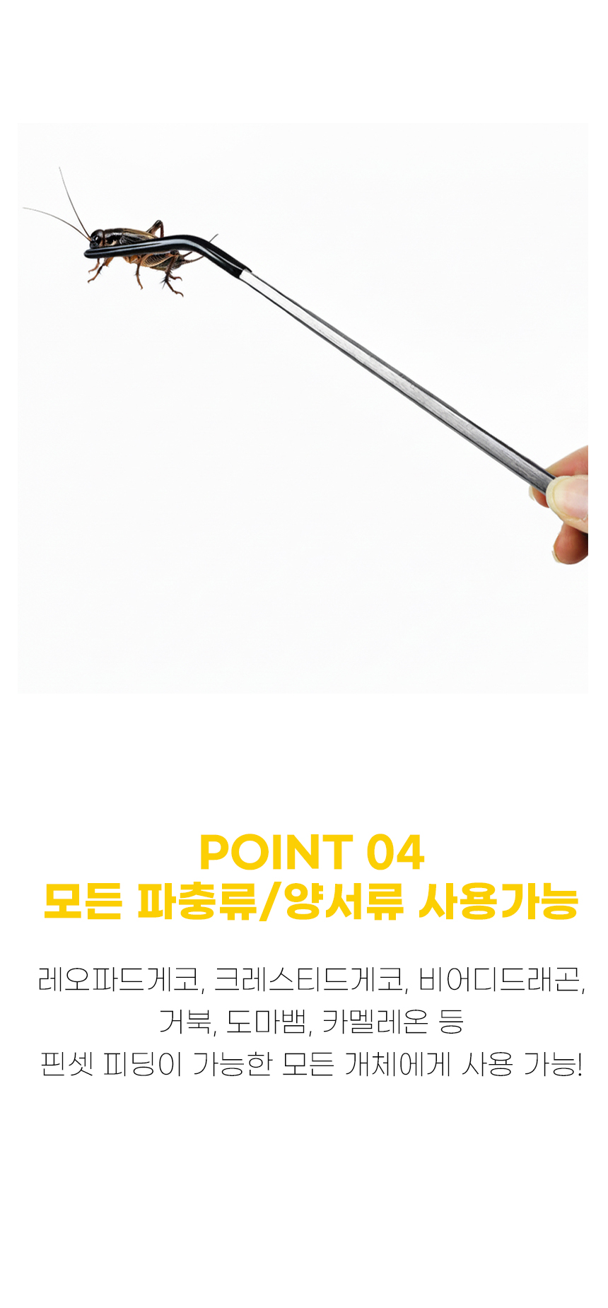 ss5 (도매).jpg