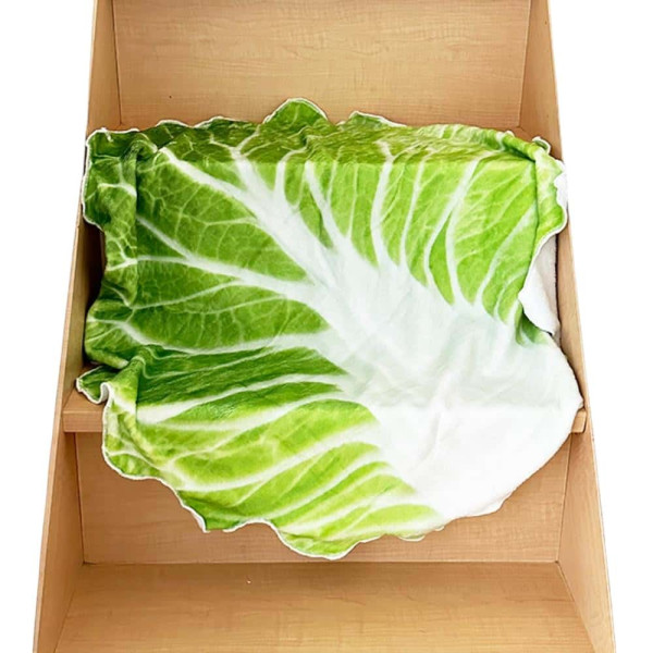 배추담요 대
