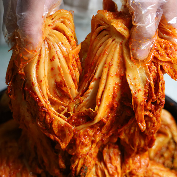 전라도에서 만든 김치 묵은지 10kg 저온숙성 HACCP인증