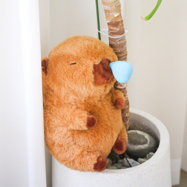 카피바라 콧물 인형 중형 30cm Capybara 캐릭터 동물 봉제 귀여운 모찌 쿠션