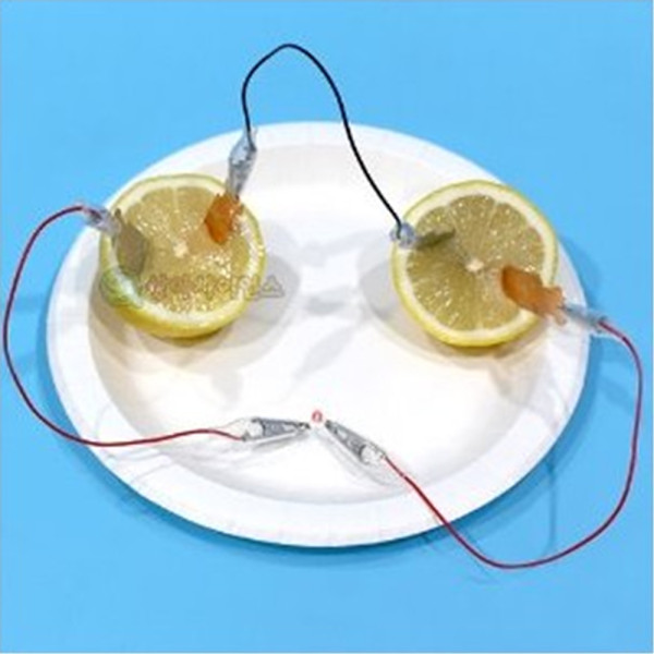 (SA) SA 안전 집게전선 과일전지(LED, 1인)