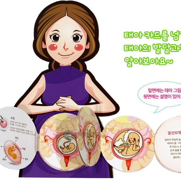 (SA) 인체의 신비 태아 발달 과정(5인 세트)
