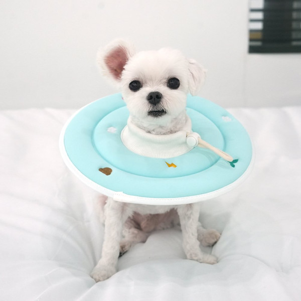 패리스독 에스프아스폰지넥카라