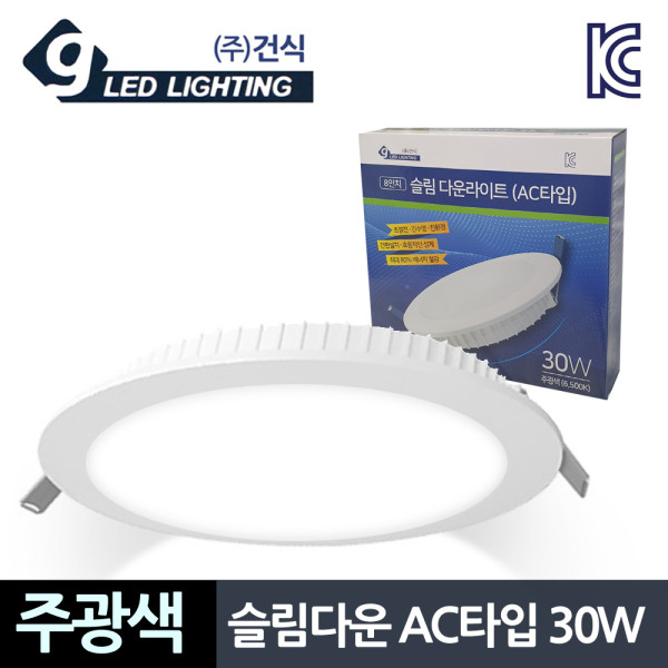 건식 슬림다운 30W 주광색 203mm LED전구
