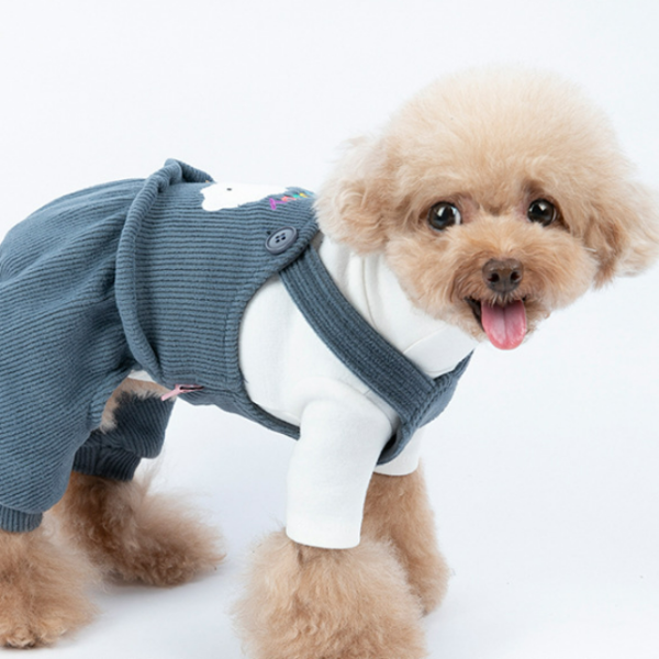 비유펫 비숑 퍼피 골덴 멜빵 XS 3XL