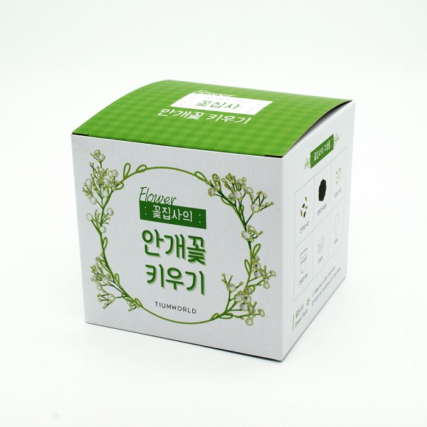 꽃집사 안개꽃