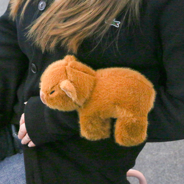 손목 카피바라 인형 팔찌 Capybara 동물 캐피바라 애착 봉제인형 쿠션 친구 선물